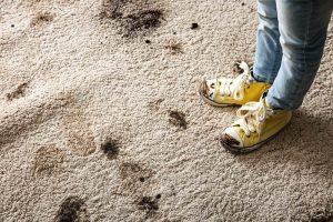 چگونه لکه گل و لای را از فرش پاک کنیم؟