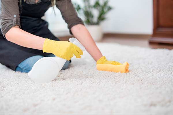 حذف بوی پخت و پز از فرش شما: رایحه دل‌انگیز خانه، نه بوی غذای دیروز
