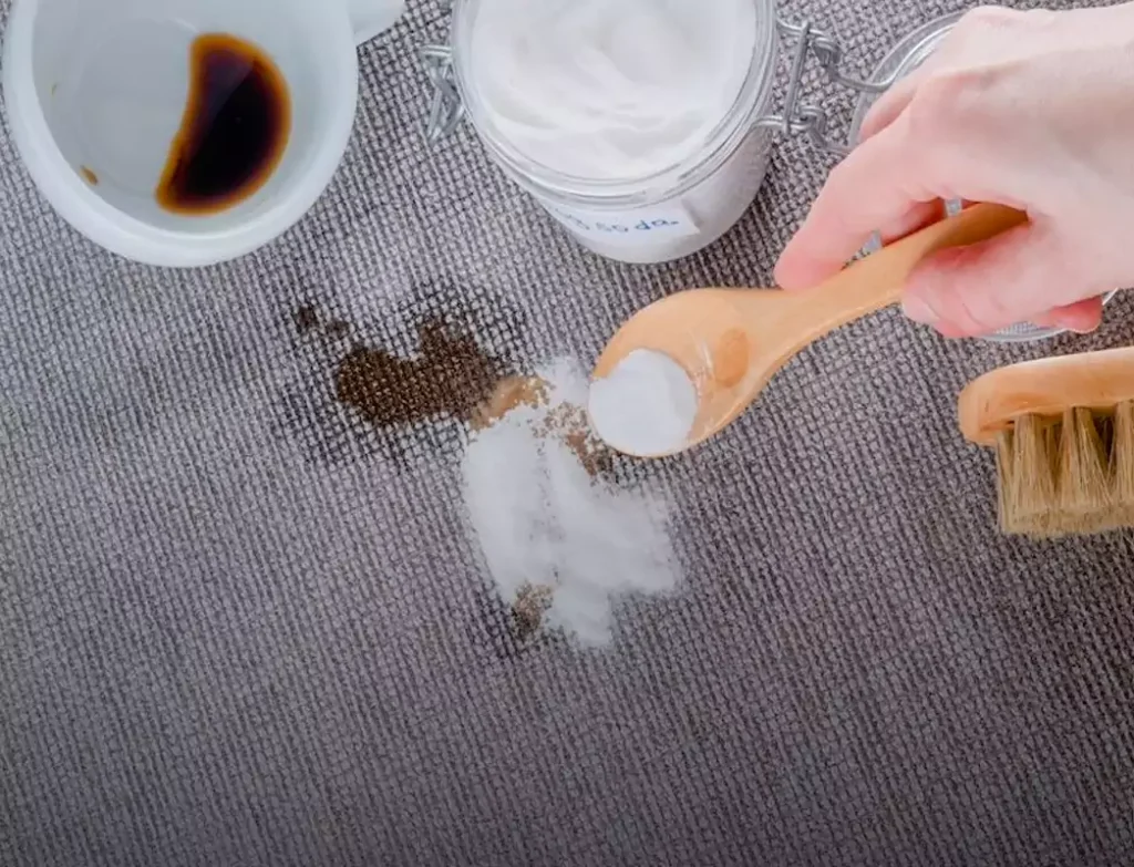 نمک؛ دوست یا دشمن قسم‌خورده فرش شما؟ افشای حقیقت یک باور قدیمی و خطرناک