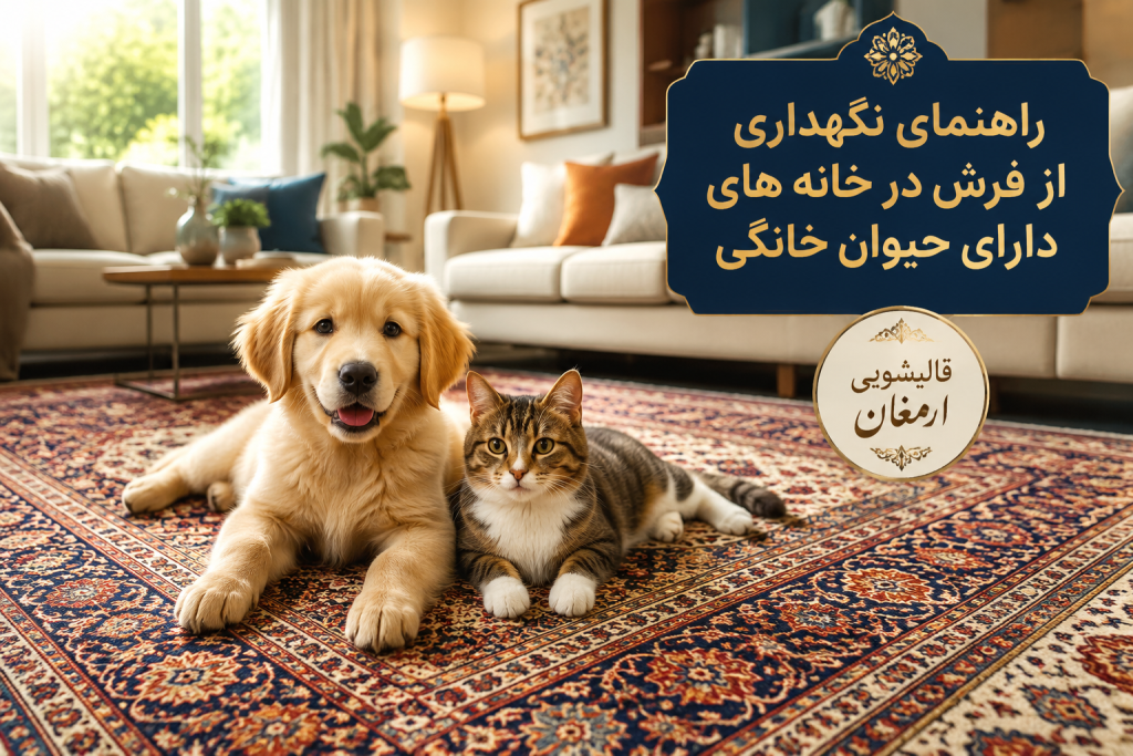 راهنمای نگهداری از فرش در خانه‌های دارای حیوان خانگی