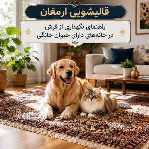 راهنمای نگهداری از فرش در خانه‌های دارای حیوان خانگی