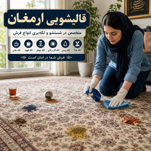 راهنمای کامل لکه بری فرش: روش پاک کردن بیش از ۳۰ نوع لکه