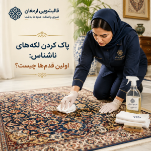 پاک کردن لکههای ناشناس: اولین قدمها چیست؟