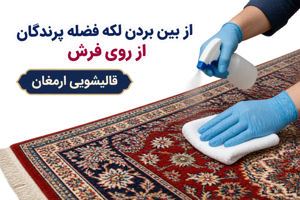از بین بردن لکه فضله پرندگان از روی فرش