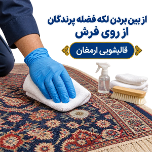 از بین بردن لکه فضله پرندگان از روی فرش