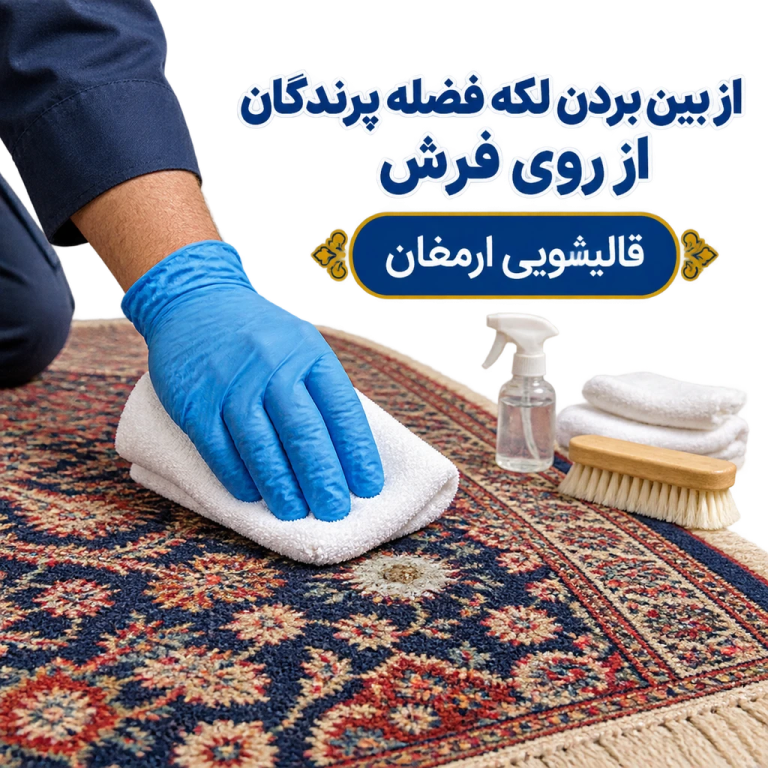 از بین بردن لکه فضله پرندگان از روی فرش