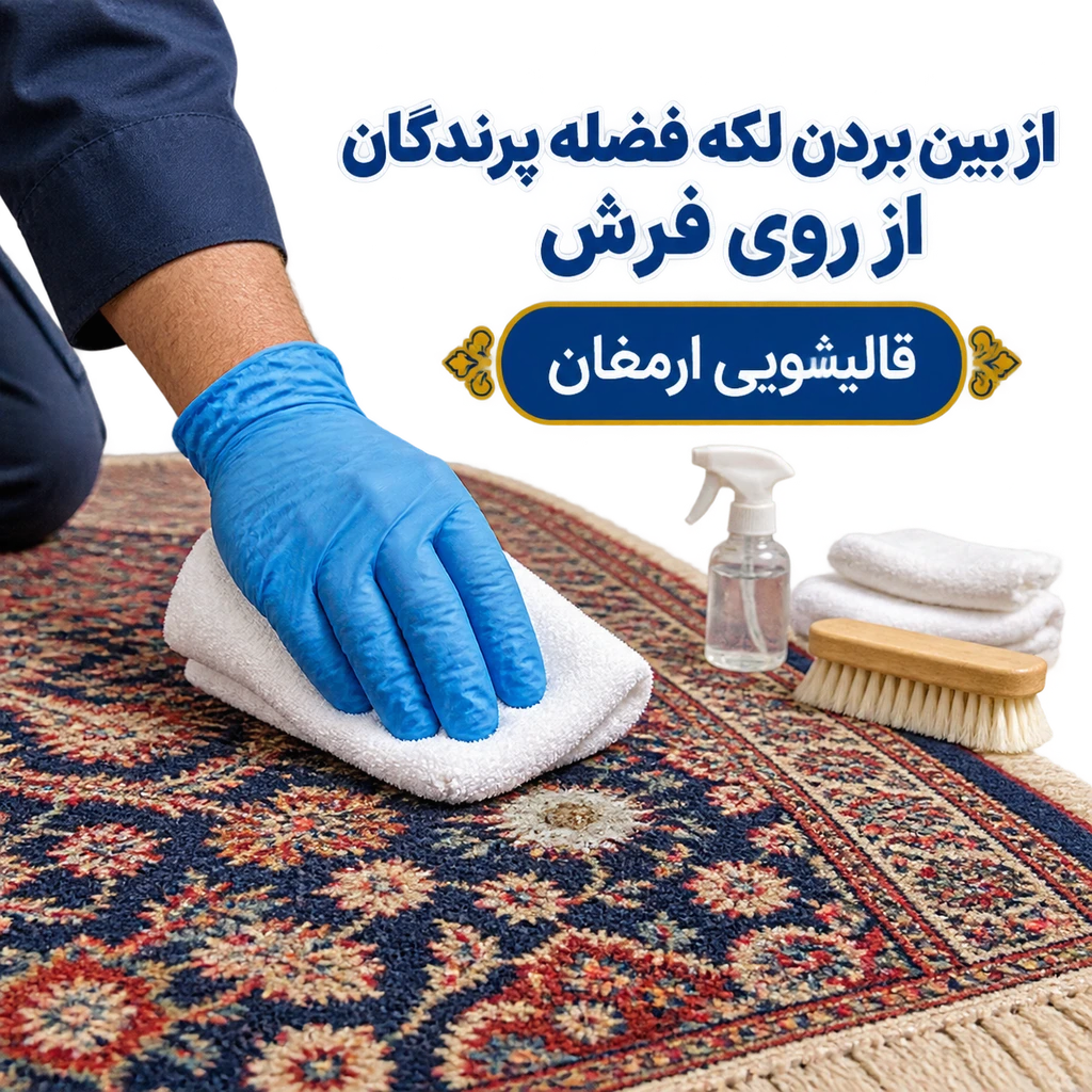 از بین بردن لکه فضله پرندگان از روی فرش